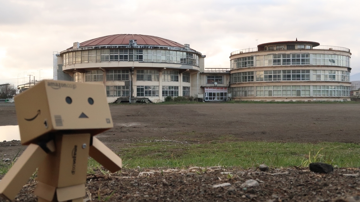 f:id:shirokumapanda:20210625010715j:plain