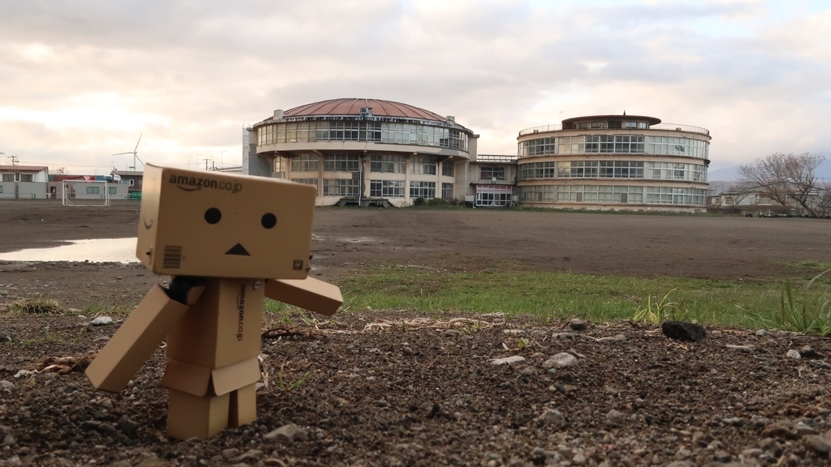 f:id:shirokumapanda:20210625010733j:plain