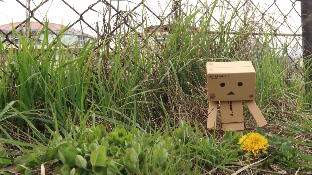 f:id:shirokumapanda:20210625010740j:plain