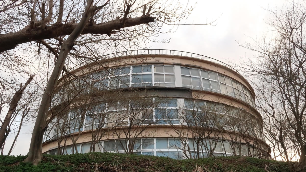 f:id:shirokumapanda:20210625010804j:plain