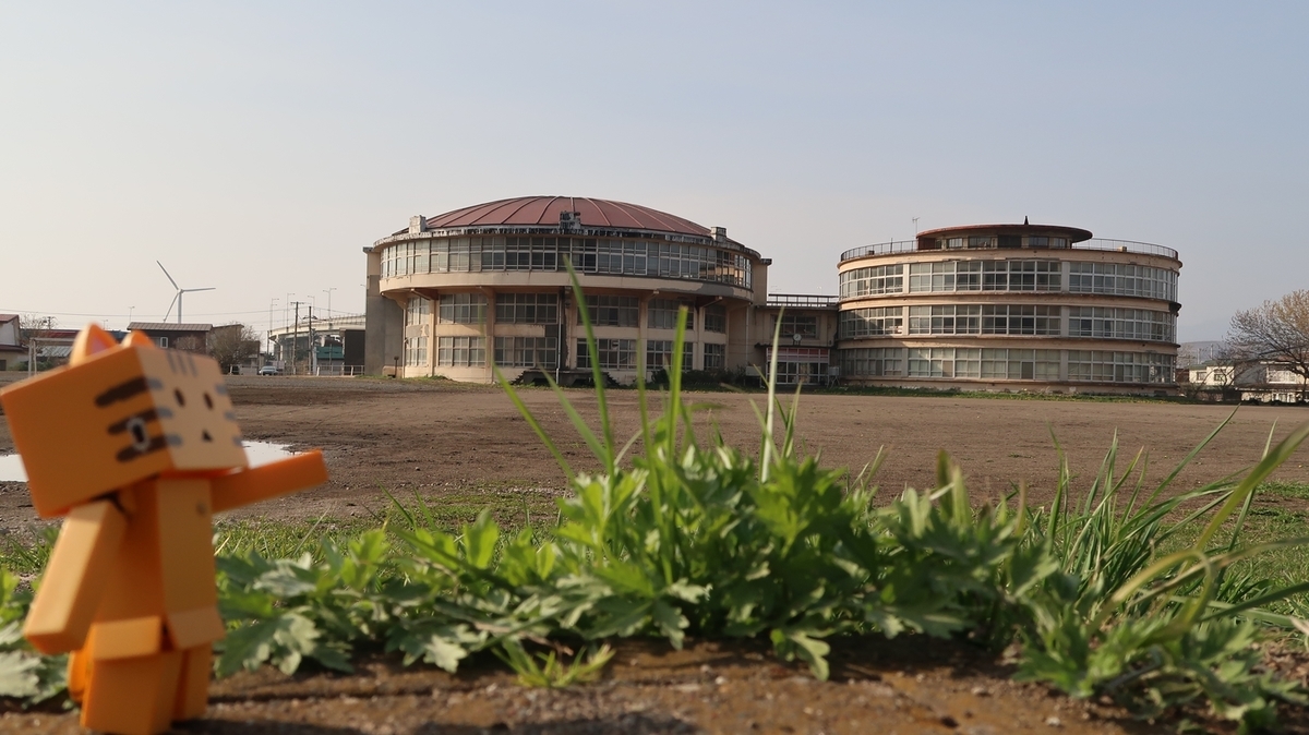 f:id:shirokumapanda:20210625010918j:plain