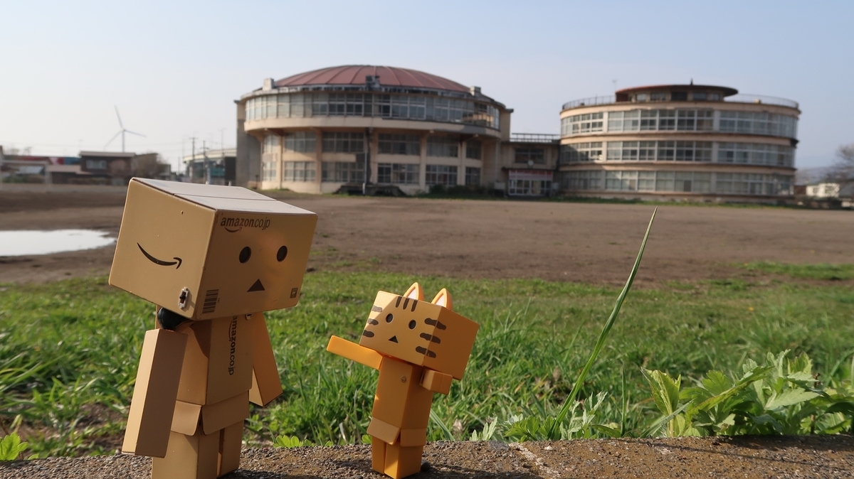 f:id:shirokumapanda:20210625010924j:plain