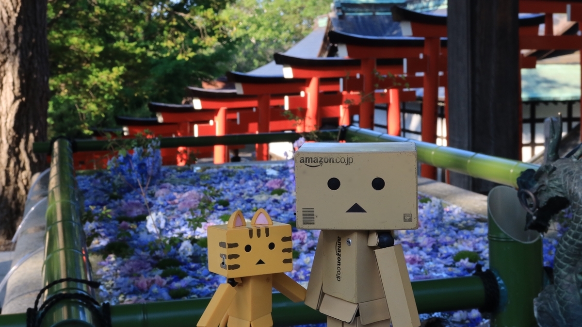 f:id:shirokumapanda:20210629015314j:plain