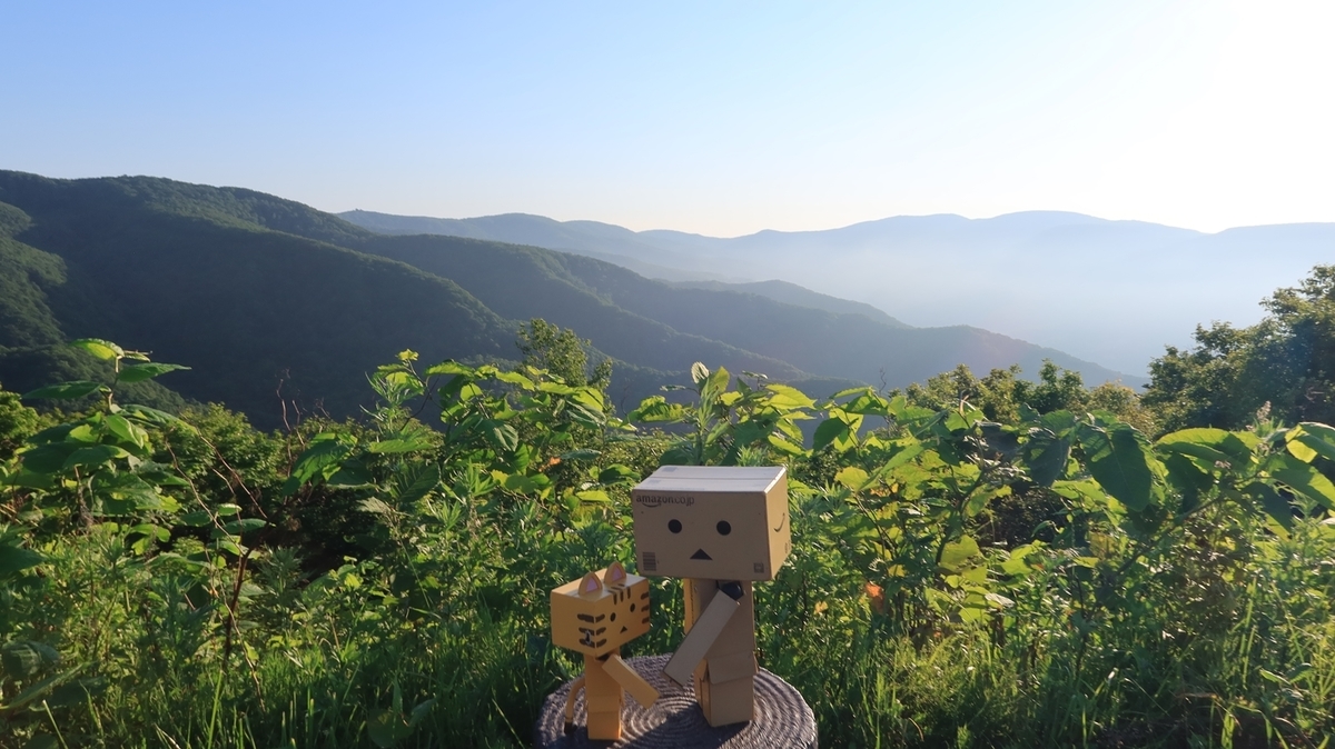 f:id:shirokumapanda:20210629015346j:plain