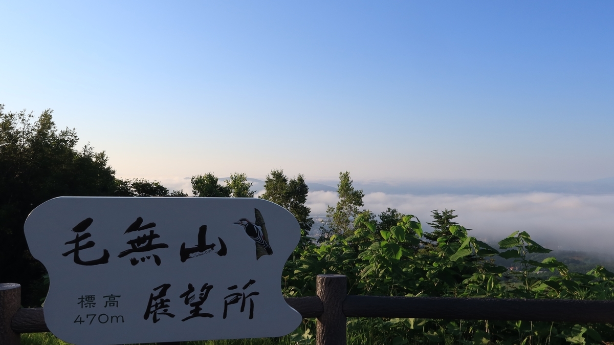 f:id:shirokumapanda:20210629015405j:plain
