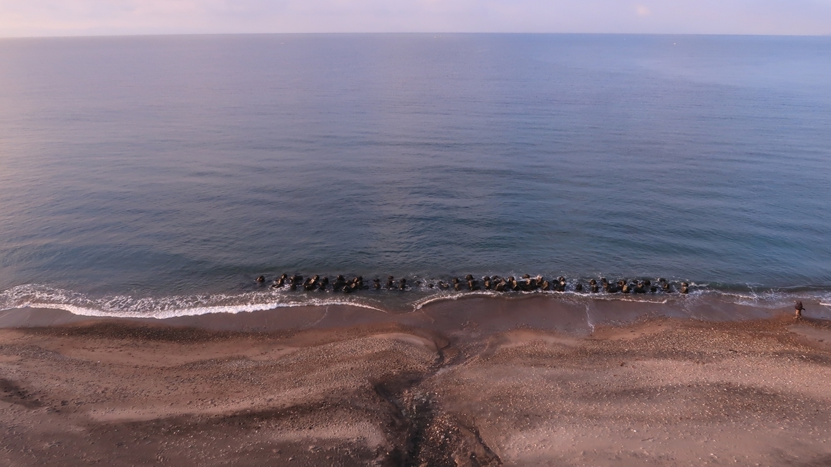 f:id:shirokumapanda:20210630235416j:plain