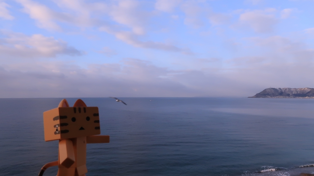 f:id:shirokumapanda:20210630235423j:plain