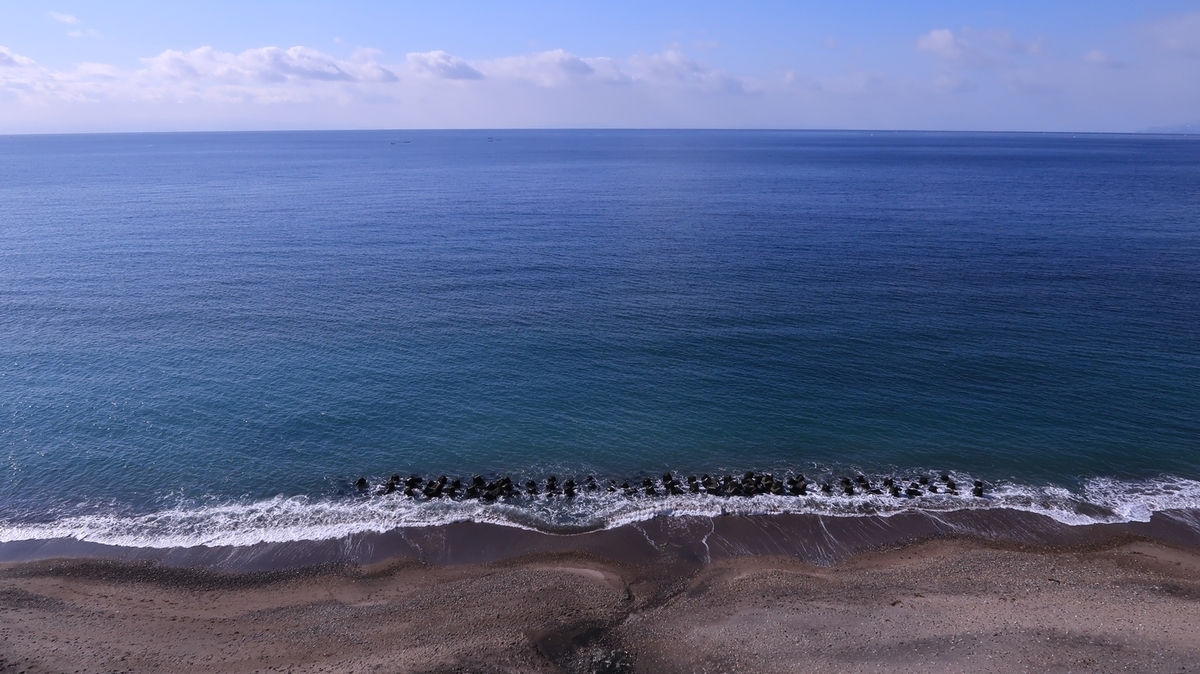 f:id:shirokumapanda:20210630235539j:plain