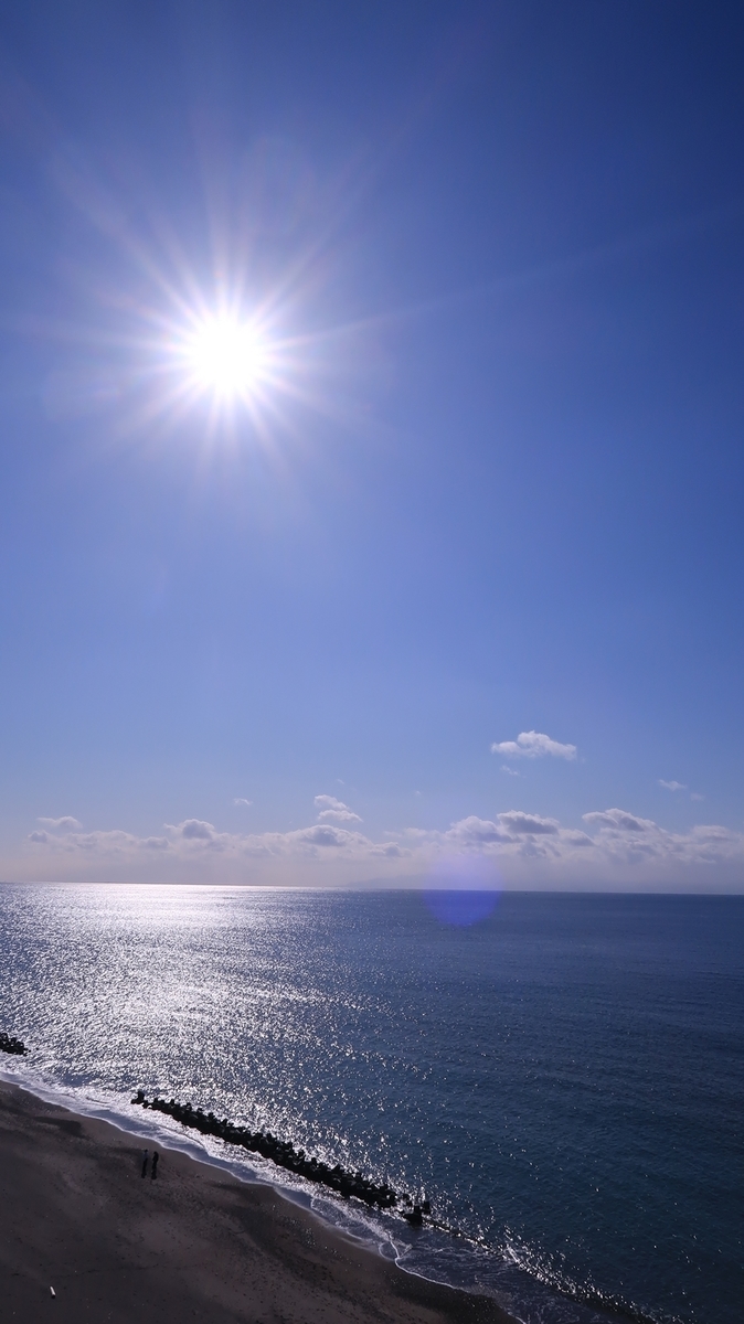 f:id:shirokumapanda:20210630235545j:plain