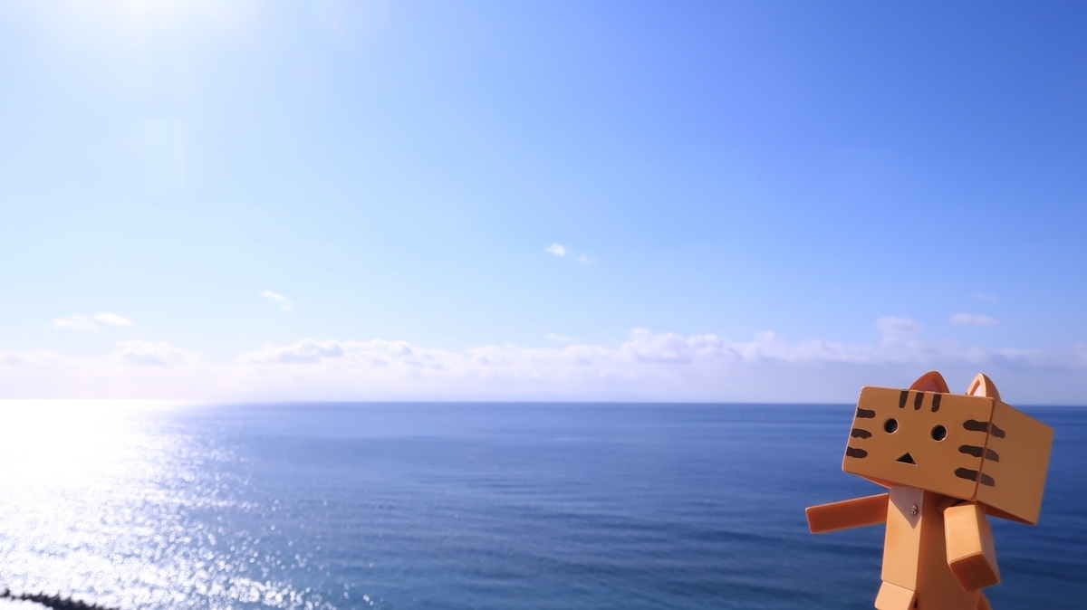 f:id:shirokumapanda:20210630235558j:plain