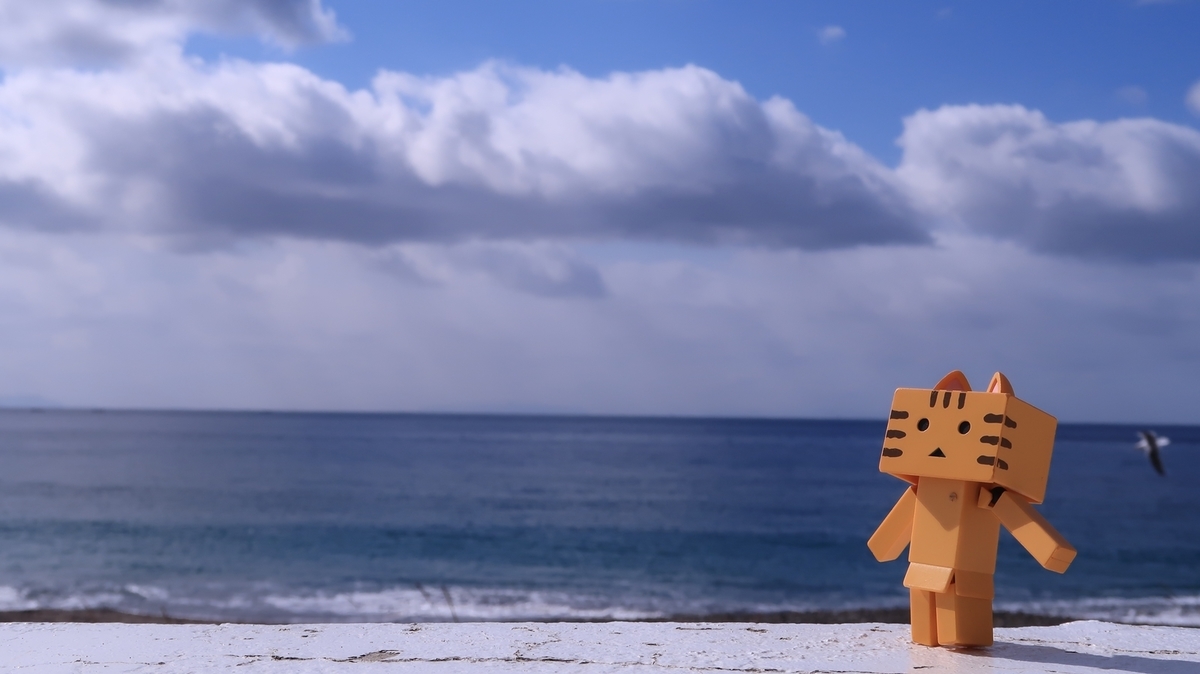 f:id:shirokumapanda:20210630235604j:plain