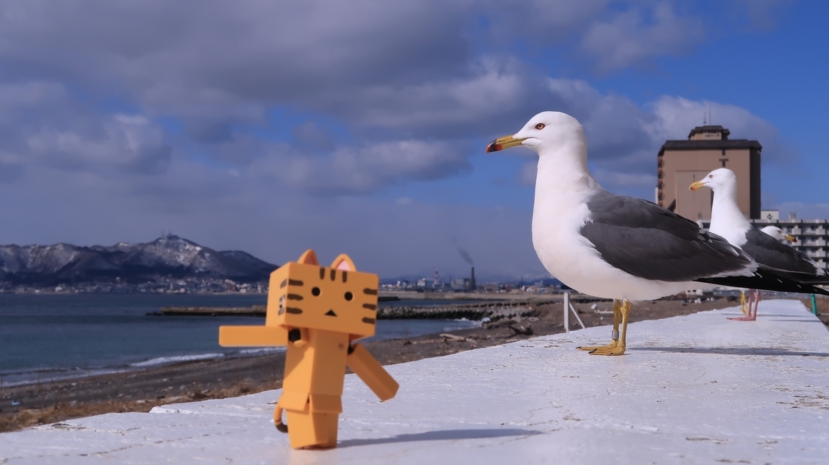 f:id:shirokumapanda:20210630235610j:plain