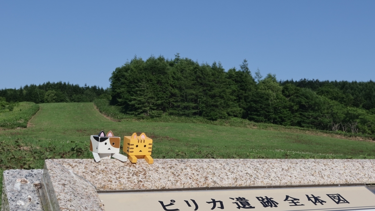 f:id:shirokumapanda:20210703233237j:plain