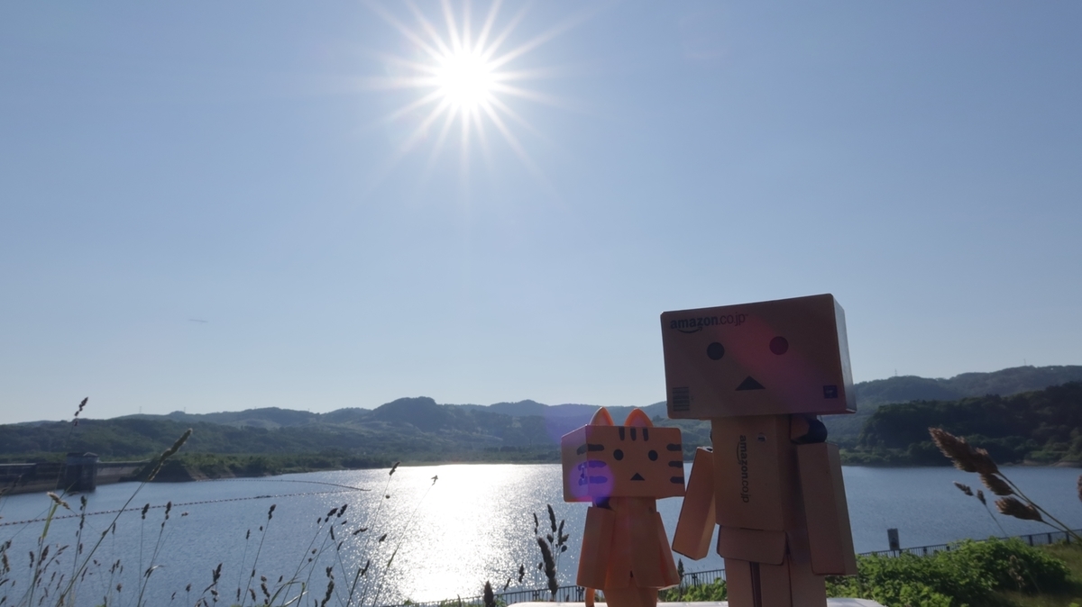 f:id:shirokumapanda:20210703233249j:plain