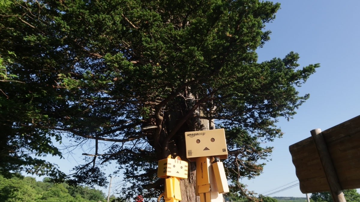 f:id:shirokumapanda:20210703233340j:plain