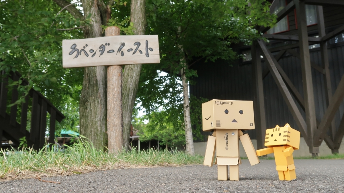 f:id:shirokumapanda:20210716232737j:plain