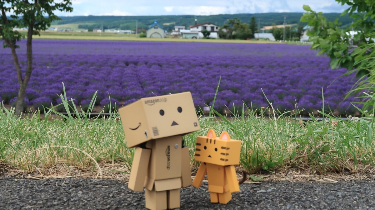 f:id:shirokumapanda:20210716232832j:plain