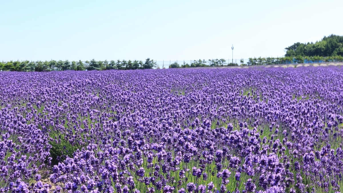 お出かけ日誌（紋別市 滝上町） - 北海道ミテミル イッテミル （北海道