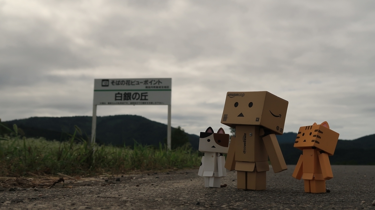 f:id:shirokumapanda:20210802233820j:plain