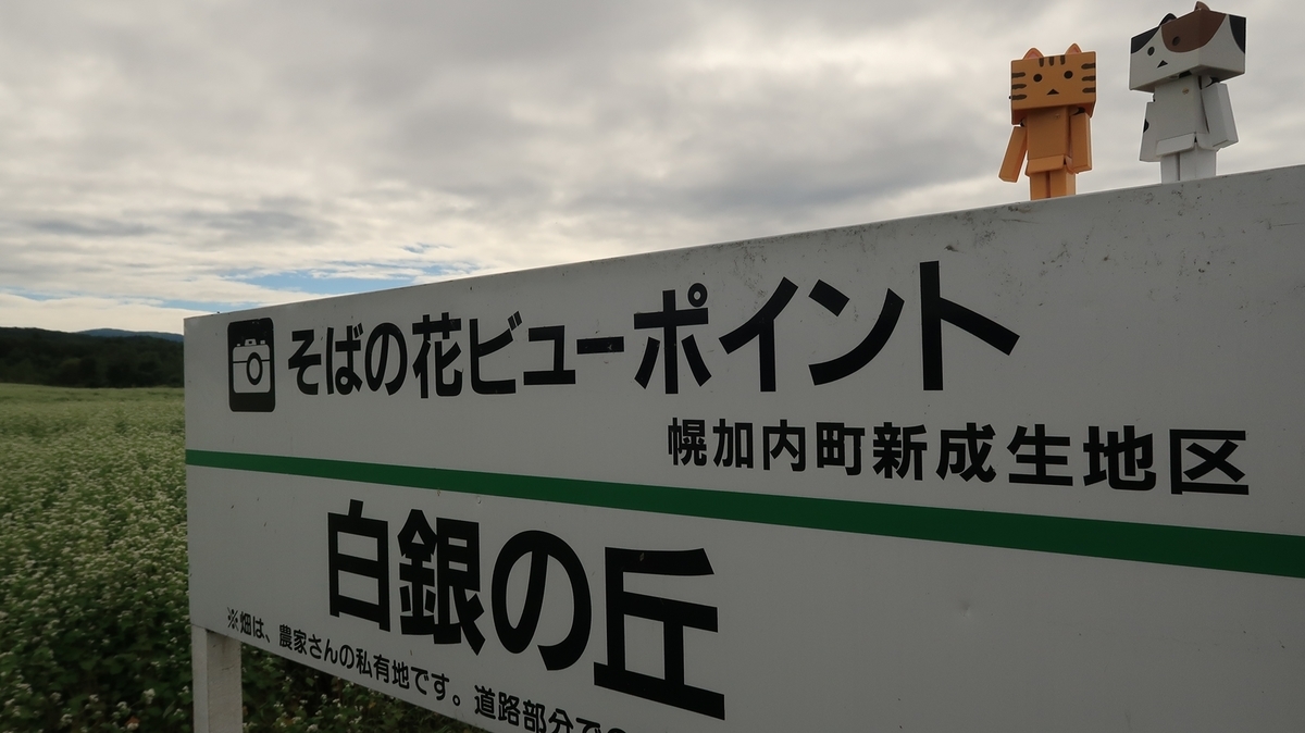 f:id:shirokumapanda:20210802233826j:plain