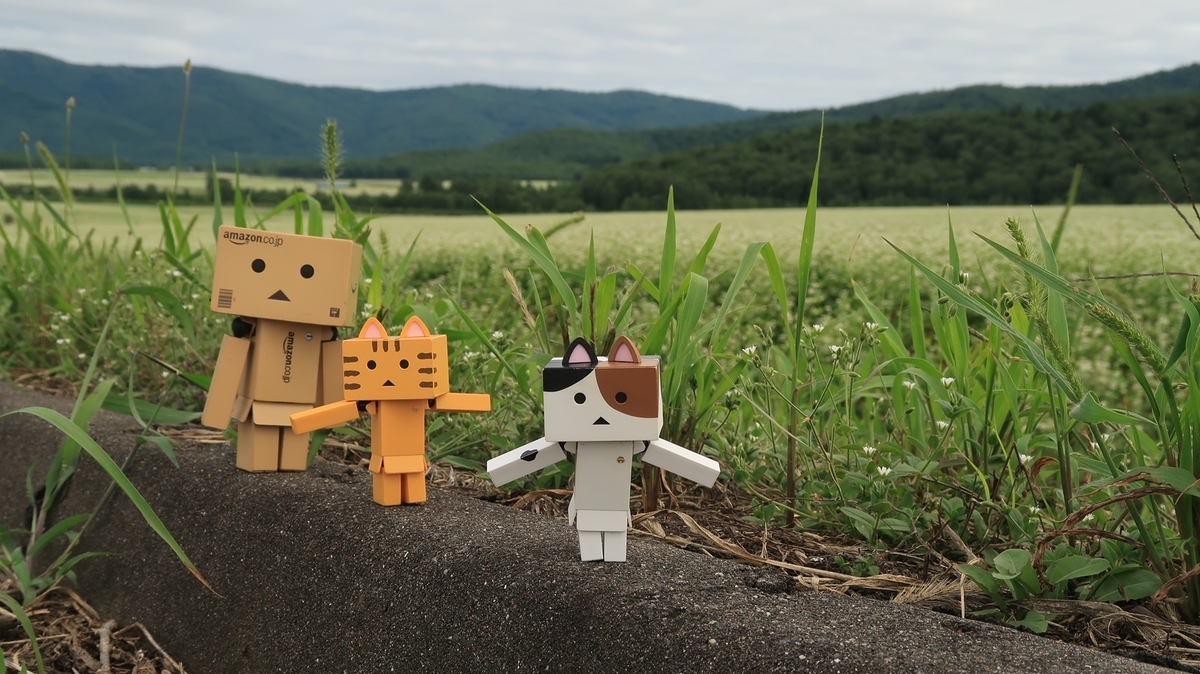 f:id:shirokumapanda:20210802233851j:plain