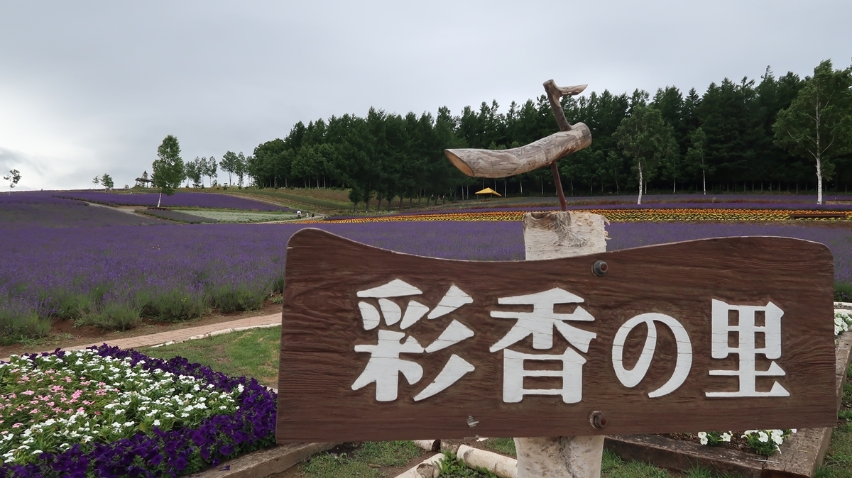 f:id:shirokumapanda:20210804235938j:plain