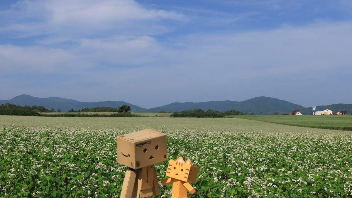 f:id:shirokumapanda:20210822133130j:plain