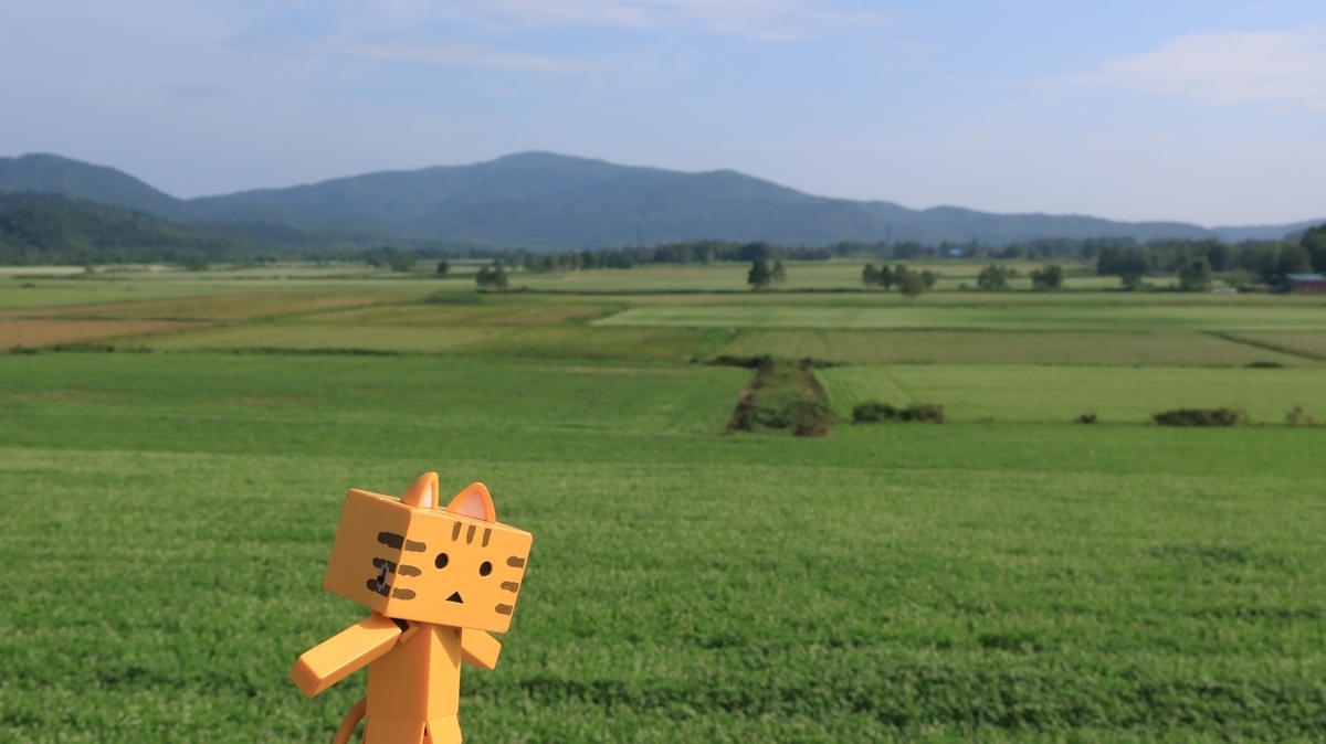 f:id:shirokumapanda:20210822133152j:plain