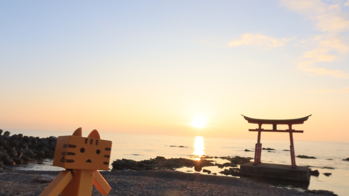 f:id:shirokumapanda:20210822133402j:plain