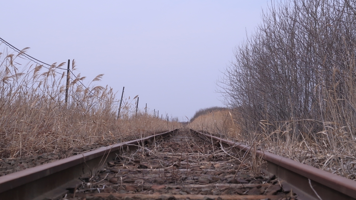 f:id:shirokumapanda:20210825000634j:plain