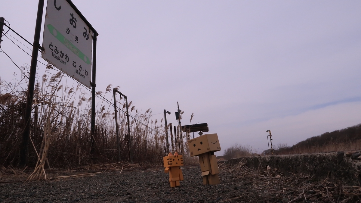 f:id:shirokumapanda:20210825000645j:plain