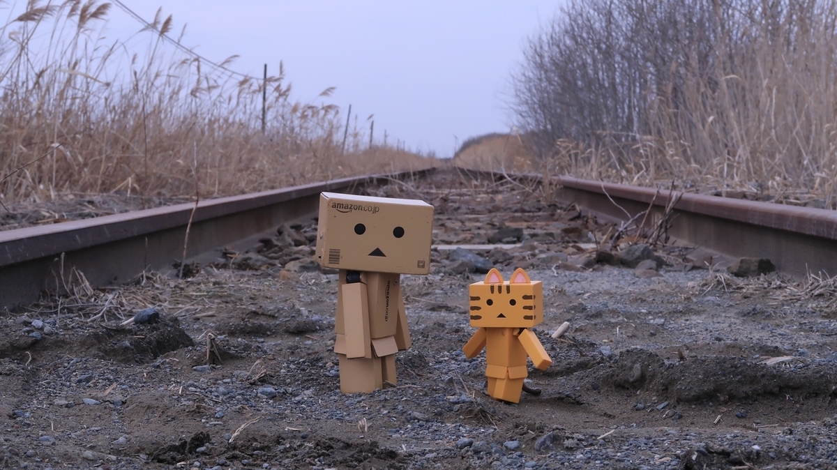 f:id:shirokumapanda:20210825000718j:plain