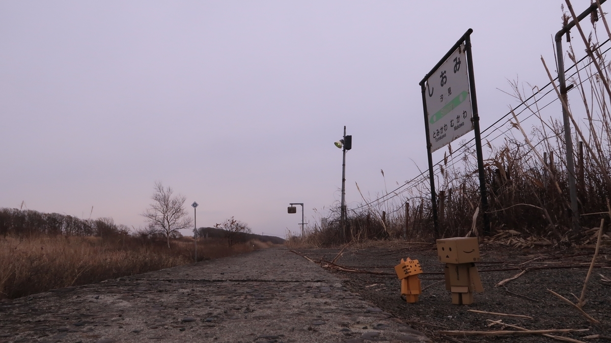 f:id:shirokumapanda:20210825000729j:plain