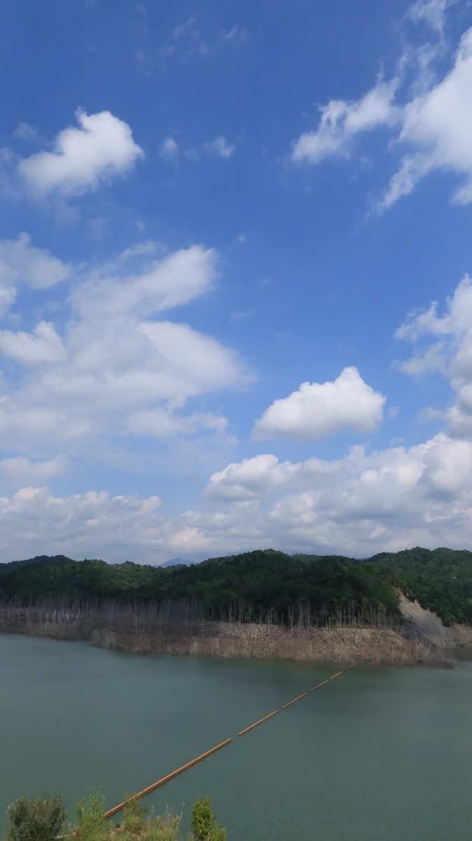 f:id:shirokumapanda:20210830013533j:plain