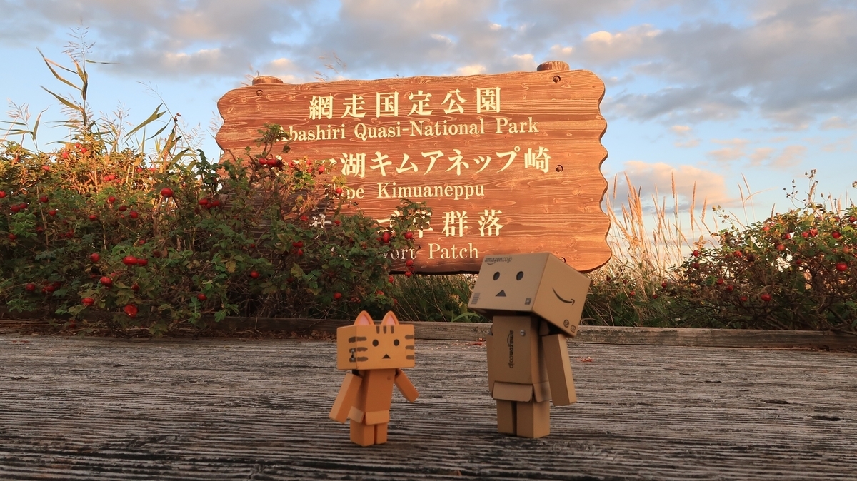 f:id:shirokumapanda:20210912130501j:plain