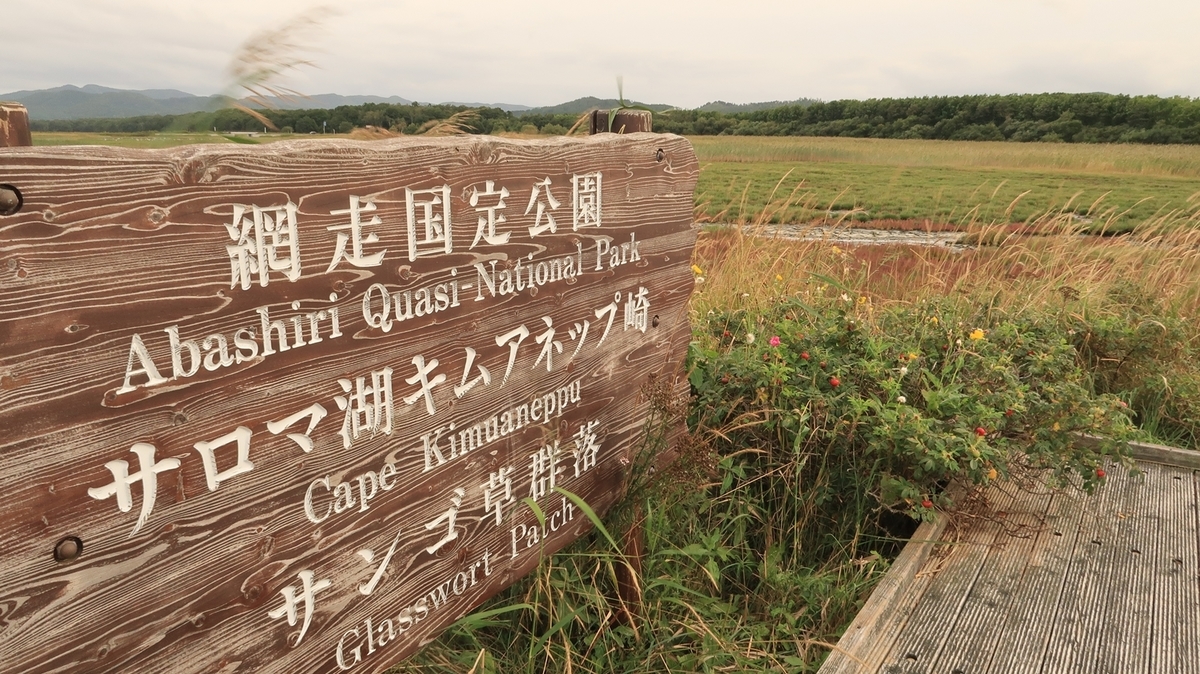 f:id:shirokumapanda:20210912222202j:plain