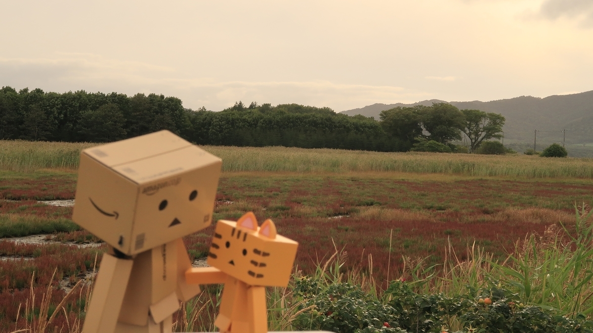 f:id:shirokumapanda:20210912222207j:plain
