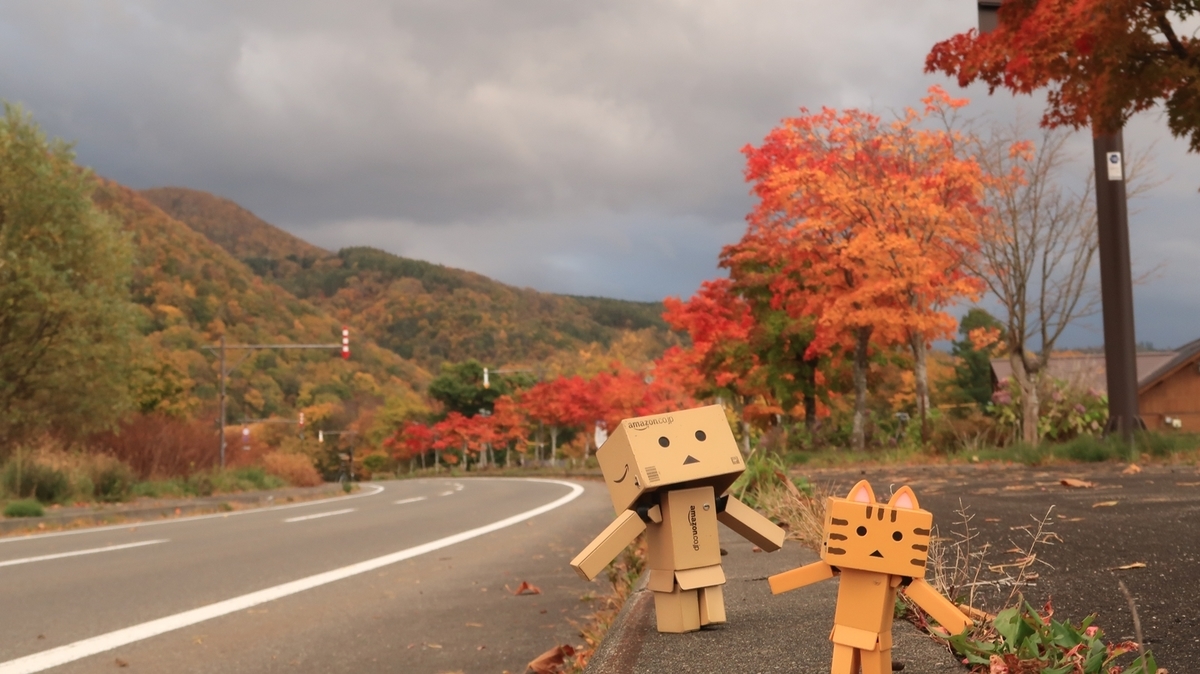 f:id:shirokumapanda:20210924213938j:plain