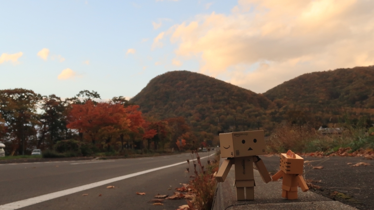 f:id:shirokumapanda:20210924213953j:plain