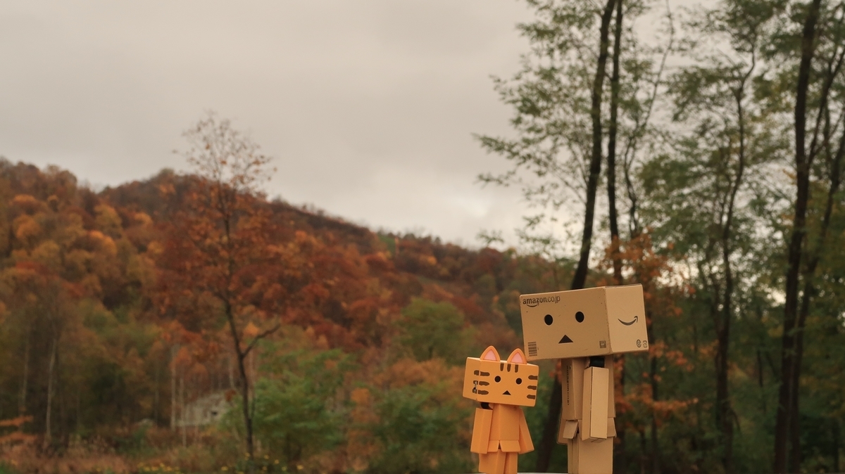 f:id:shirokumapanda:20211006234643j:plain