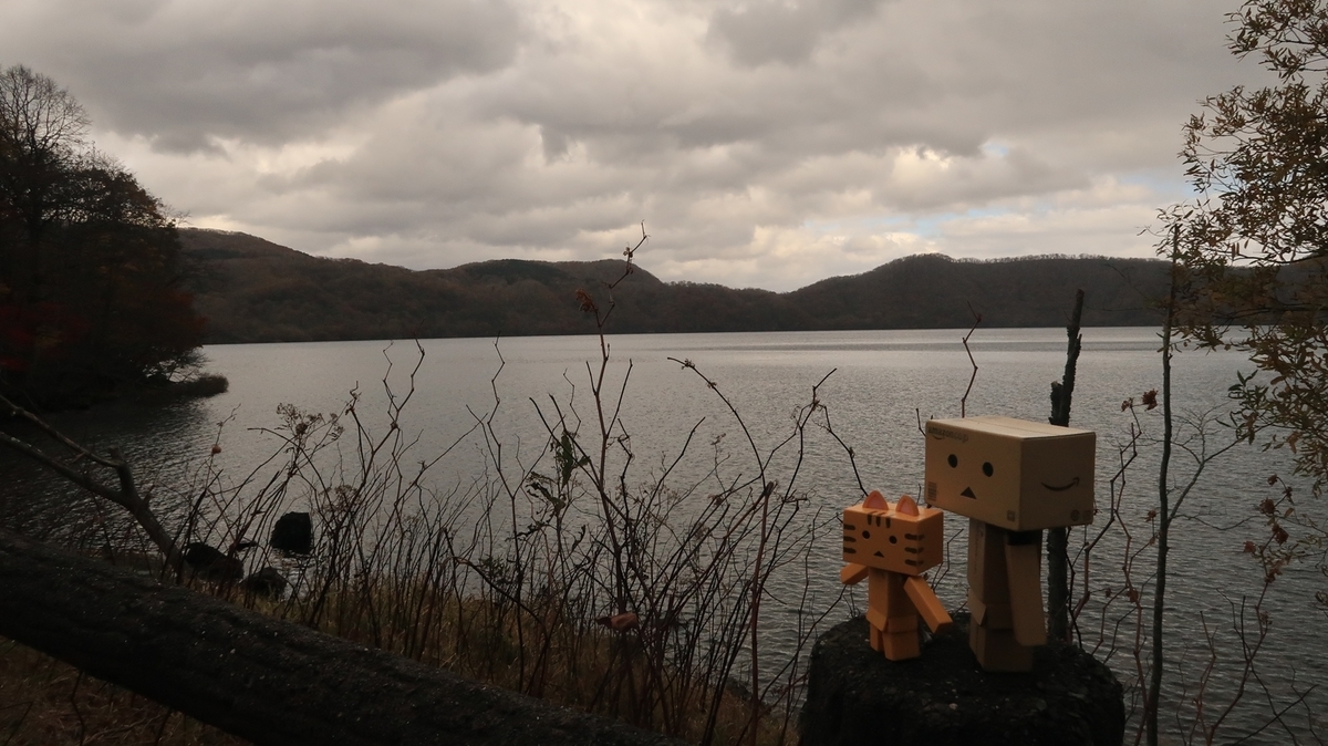f:id:shirokumapanda:20211009222224j:plain