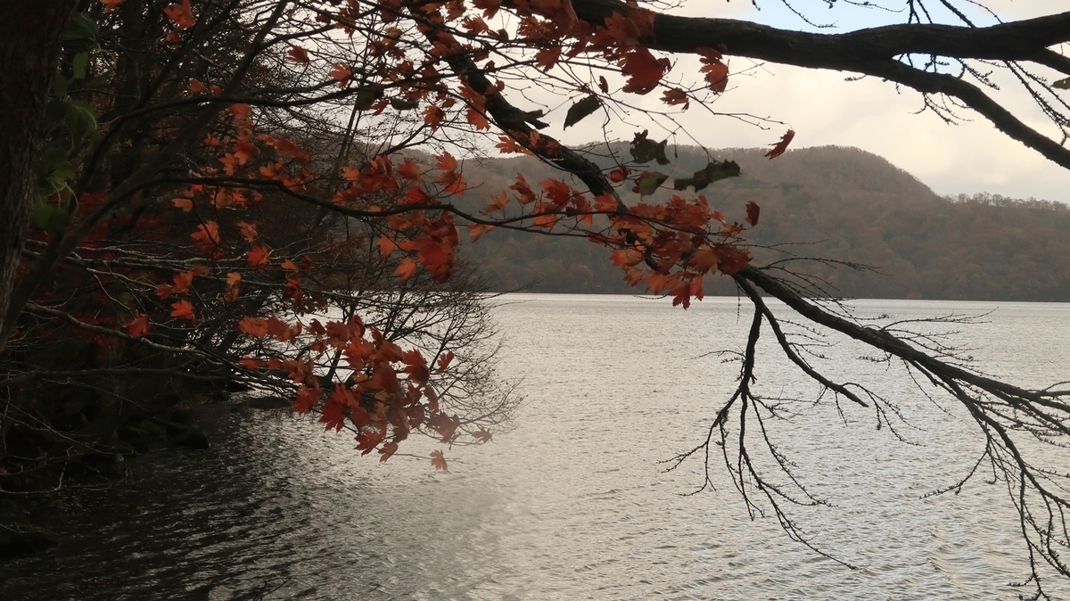 f:id:shirokumapanda:20211009222326j:plain