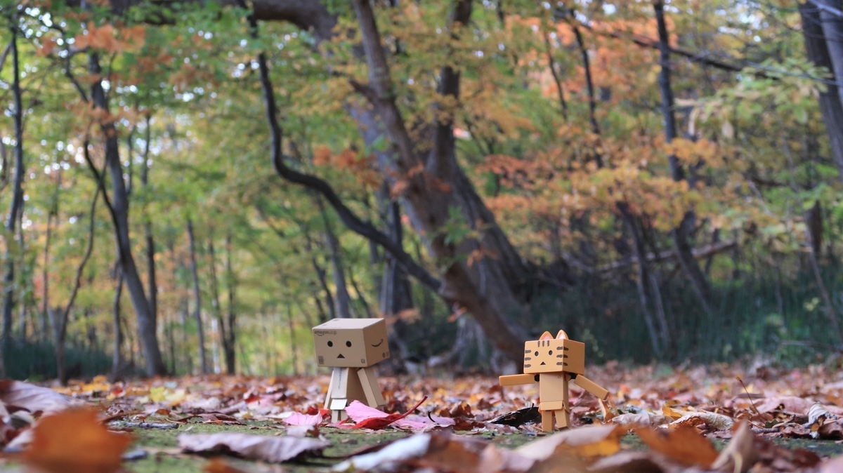 f:id:shirokumapanda:20211015233925j:plain
