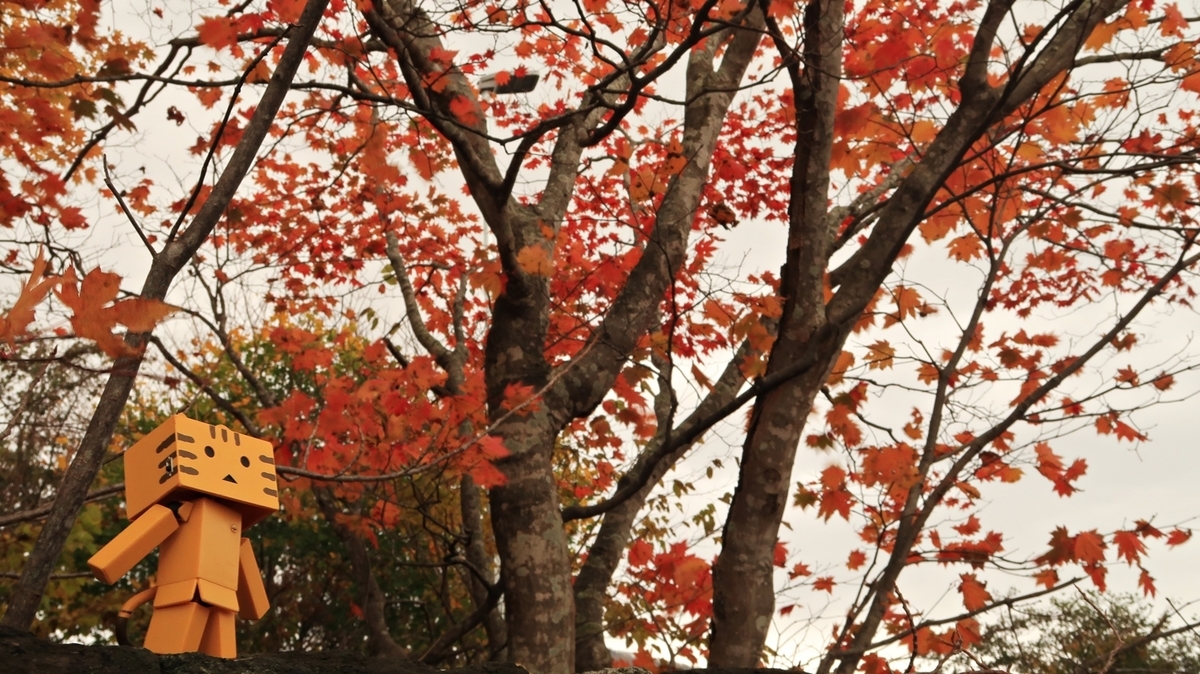 f:id:shirokumapanda:20211020000251j:plain