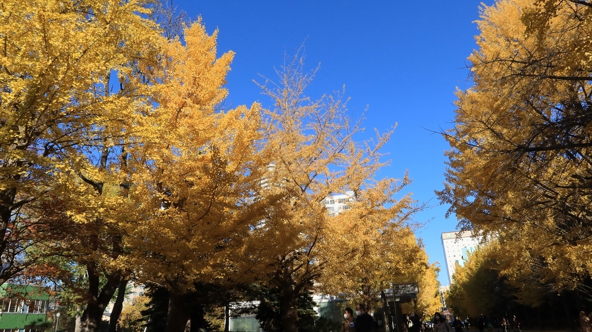 f:id:shirokumapanda:20211106215715j:plain