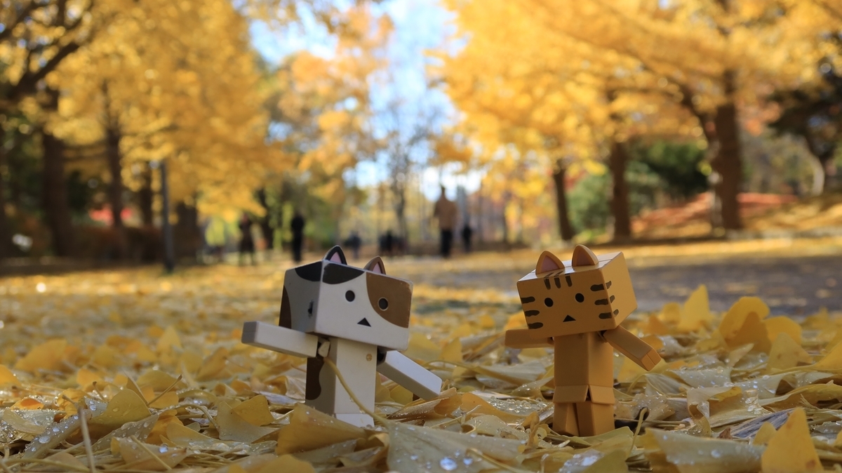 f:id:shirokumapanda:20211106215736j:plain