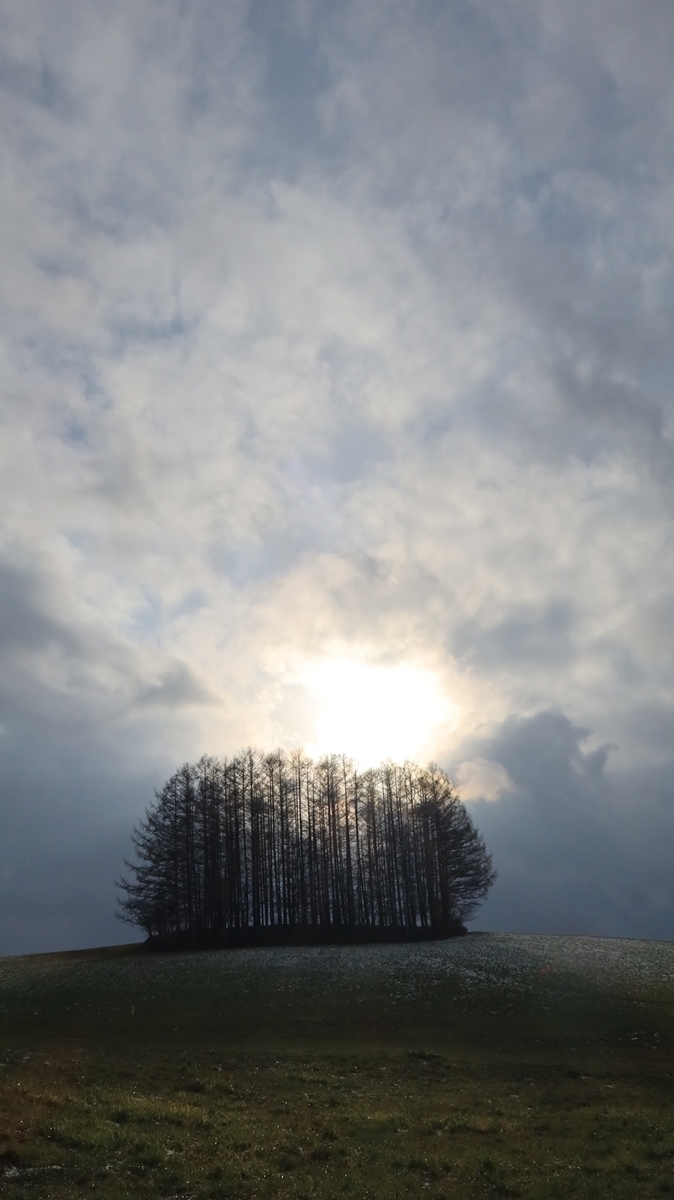 f:id:shirokumapanda:20211123001134j:plain