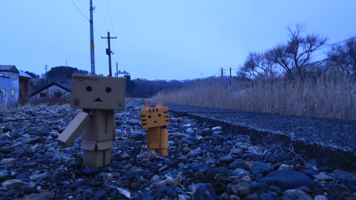 f:id:shirokumapanda:20211128233349j:plain