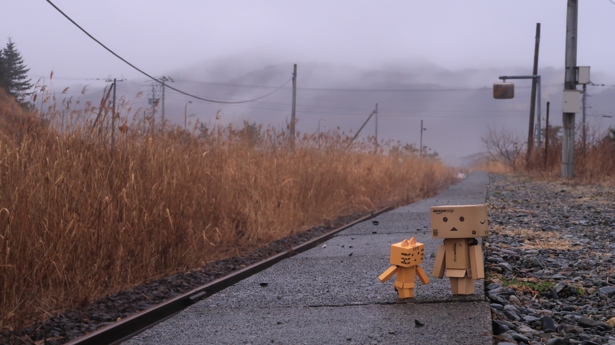 f:id:shirokumapanda:20211128233420j:plain