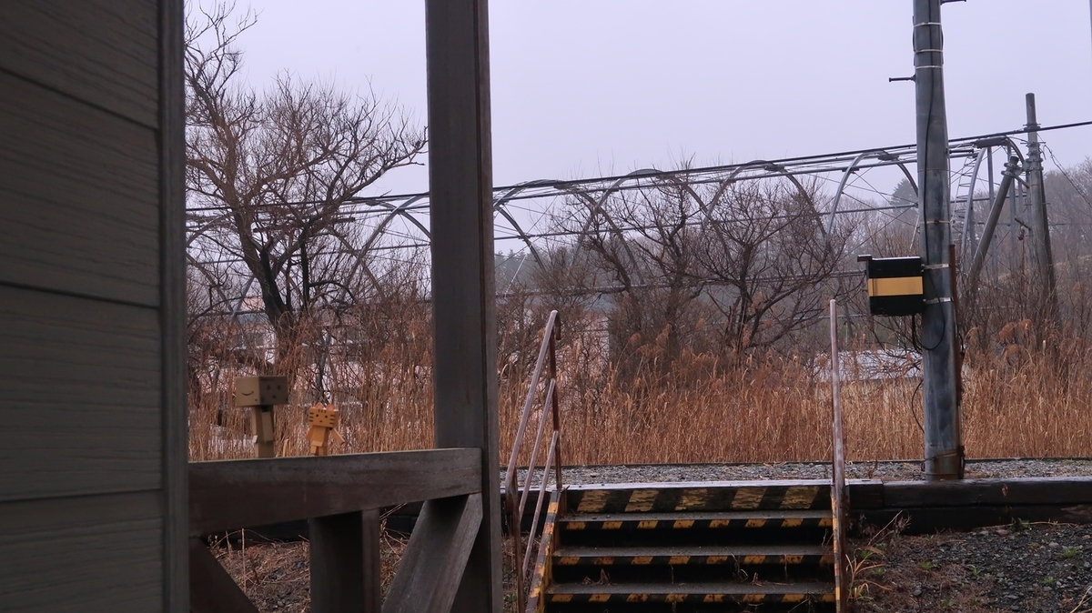 f:id:shirokumapanda:20211128233451j:plain